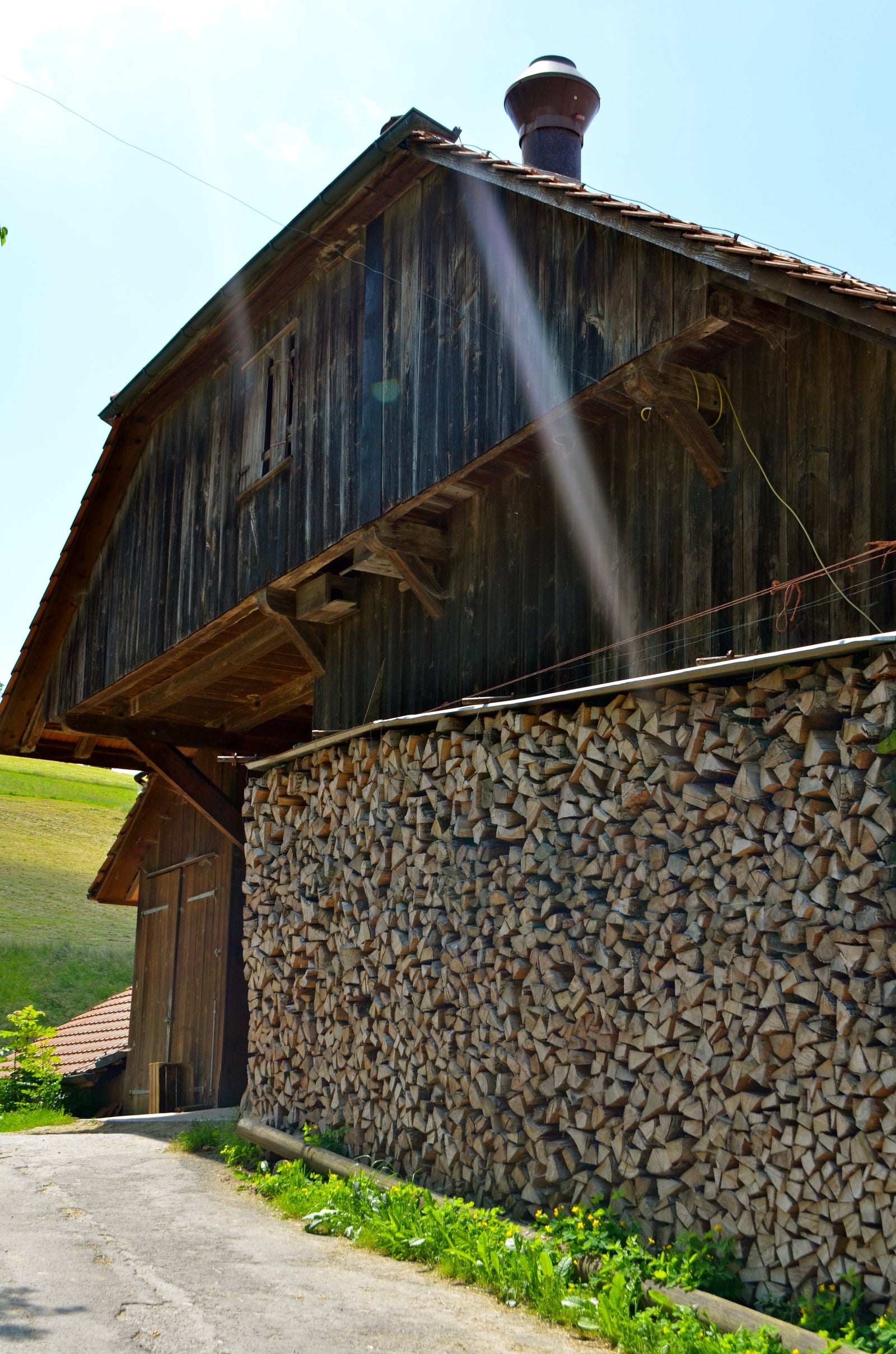 Brennholz im Frühling kaufen – Jetzt für den Sommer vorsorgen | Regionales Brennholz Schweiz